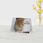 CARTE JEUX ANNIVERSAIRE DIT LE POMERANIEN (Fleur jaune)