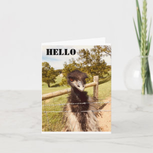 CARTE "JEUX ANNIVERSAIRE" DIT OSTRICH