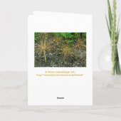 CARTE "JEUX ANNIVERSAIRE/FLORALE/PHOTOG (Dos)