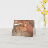 Carte JIM :  Des courses et les sauts, refuse d'être (Fleur jaune)