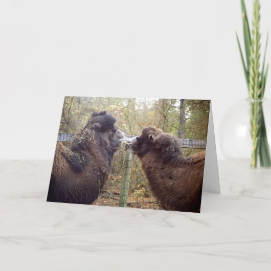 Carte Jingle Baba et Google Mama (Devant)