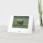 Carte John 10:27 et 28, mouton (Dos)