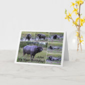 Carte John Happy Birthday Cape Buffalo Mud Bath (Fleur jaune)