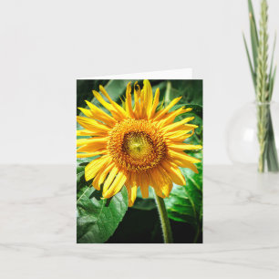 Carte Joie de Tournesol