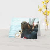 Carte Joint de baie de Morro (Fleur jaune)