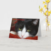 CARTE JOLI ANNIVERSAIRE (Fleur jaune)