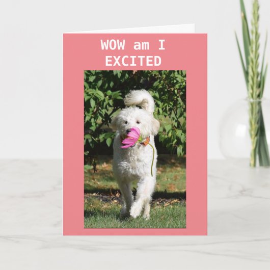 CARTE JOLI ANNIVERSAIRE À MA **FILLE** (Devant)