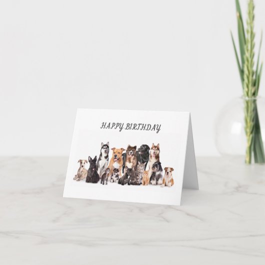 CARTE **JOLI ANNIVERSAIRE À MON VÉTÉRINAIRE PRÉFÉRÉ** (Devant)