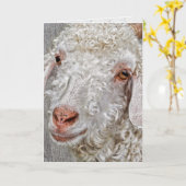 Carte joli anniversaire billy chèvre (Fleur jaune)