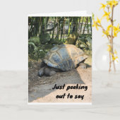 CARTE **JOLI ANNIVERSAIRE** DE SILLY TURTLE (Fleur jaune)