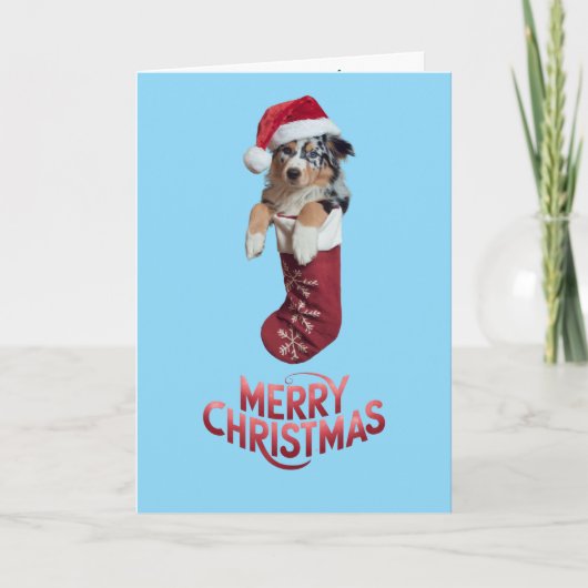 Carte Joli Berger Australien Noël (Devant)