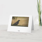 Carte Joli Bleu Jay Bird Se Bien (Dos)