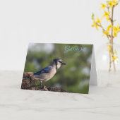 Carte Joli Bleu Jay Bird Se Bien (Fleur jaune)