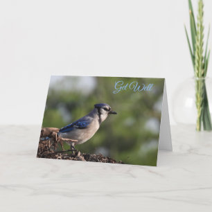 Carte Joli Bleu Jay Bird Se Bien