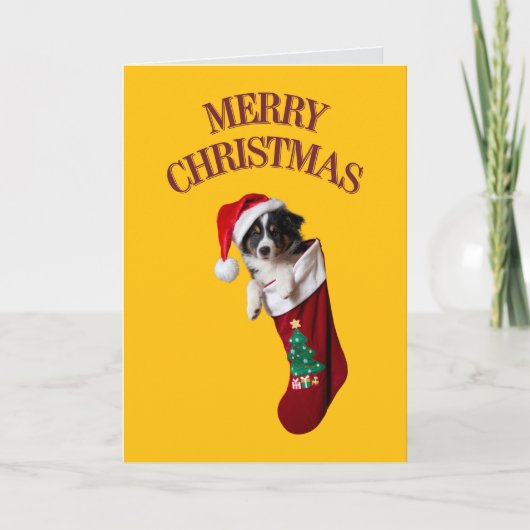 Carte Joli Border Collie Noël (Devant)