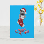 Carte Joli chat bleu russe Noël (Fleur jaune)