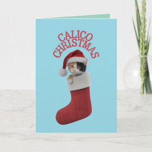 Carte Joli chat calico Noël vacances