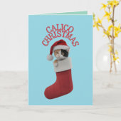Carte Joli chat calico Noël vacances (Fleur jaune)