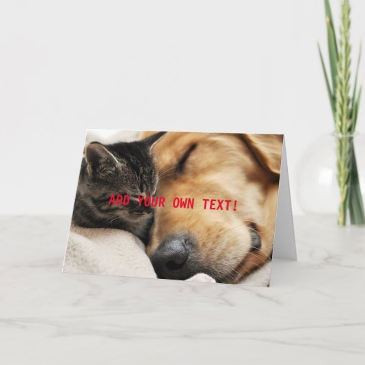Carte Joli Chat et Chiot AJOUTEZ VOTRE PROPRE TEXTE (Devant)
