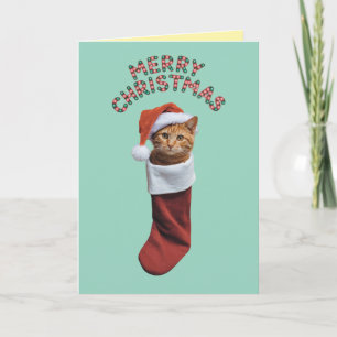 Carte Joli Chat Orange Noël Vacances
