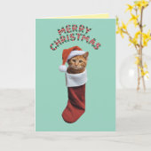 Carte Joli Chat Orange Noël Vacances (Fleur jaune)