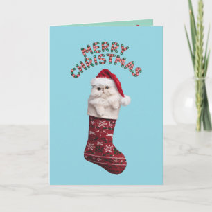 Carte Joli chat persan blanc Noël