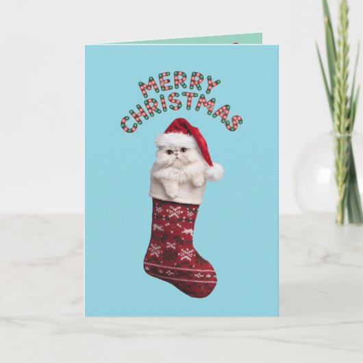 Carte Joli chat persan blanc Noël (Devant)