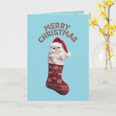 Carte Joli chat persan blanc Noël (Fleur jaune)