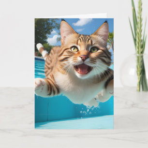 Carte Joli Chat Volant Piscine Plongeon Nage Drôle Vide