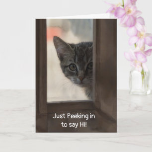 Carte Joli Chatons Regardant par la Fenêtre en Pensant à
