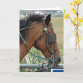 Carte Joli cheval (Fleur jaune)