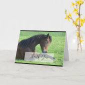 Carte Joli Cheval Brown allongé dans le Merci d'herbe (Fleur jaune)