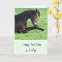 Joli Cheval Brown allongé dans l'herbe Anniversair