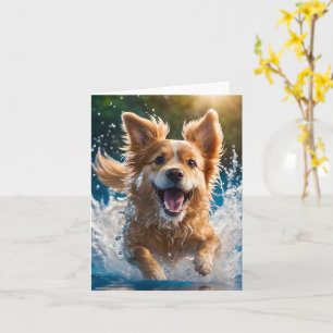 Carte Joli chien brun et blanc éclaboussant dans l'eau
