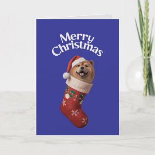 Carte Joli chien Chow Chow Noël