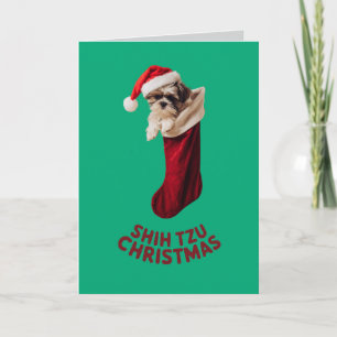 Carte Joli chien Shih Tzu Noël