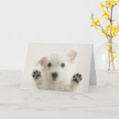 Carte Joli chiot Westie (Fleur jaune)