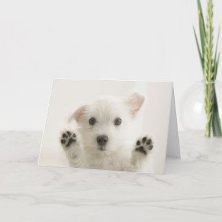 Carte Joli chiot Westie