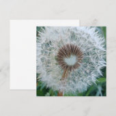 Carte Joli Dandelion blanc (Devant / Derrière)