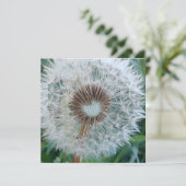 Carte Joli Dandelion blanc (Debout devant)