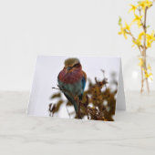 Carte Joli et fier (Fleur jaune)