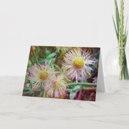 Carte Joli et rose (Devant)