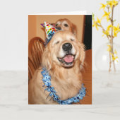 Carte Joli Golden Retriever Anniversaire Wings (Fleur jaune)