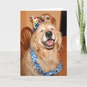 Carte Joli Golden Retriever Anniversaire Wings