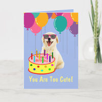 Joli Golden Retriever Chiot Anniversaire