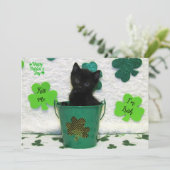 Carte Joli Jack - Chat / Kitten St. Patrick's Day (Debout devant)