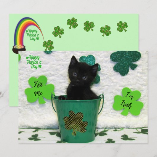 Carte Joli Jack - Chat / Kitten St. Patrick's Day (Devant / Derrière)