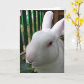 Carte Joli lapin (Fleur jaune)