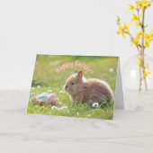 Carte Joli lapin de Pâques avec des œufs peints (Fleur jaune)
