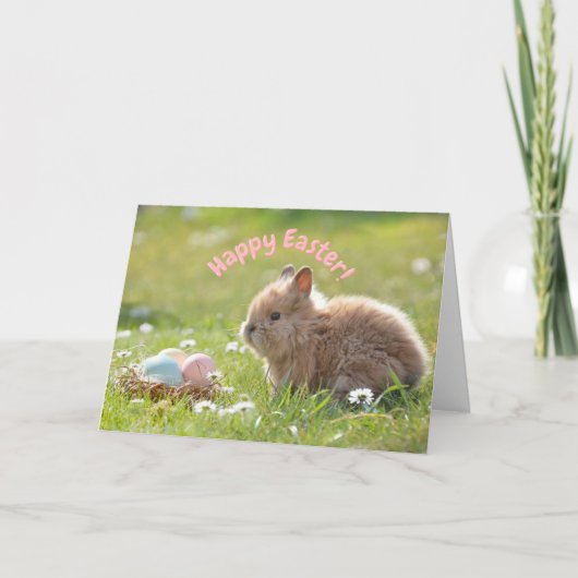 Carte Joli lapin de Pâques avec des œufs peints (Devant)